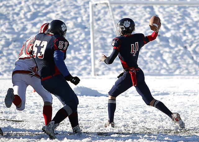 智慧的完美 智慧的完美