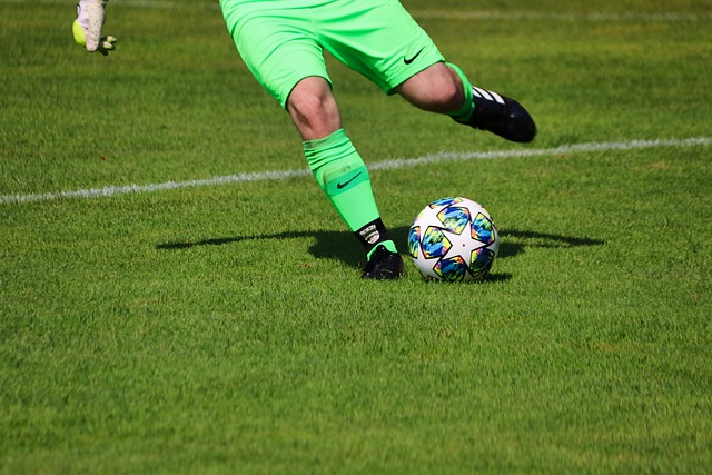 听从理性的 听从理性的