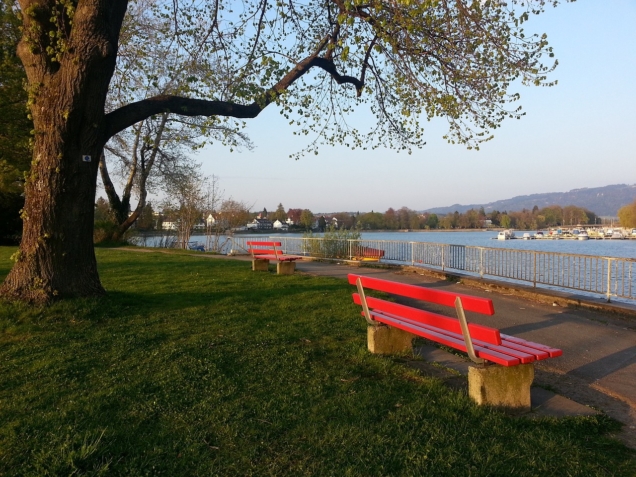 在过去一年 在过去一年