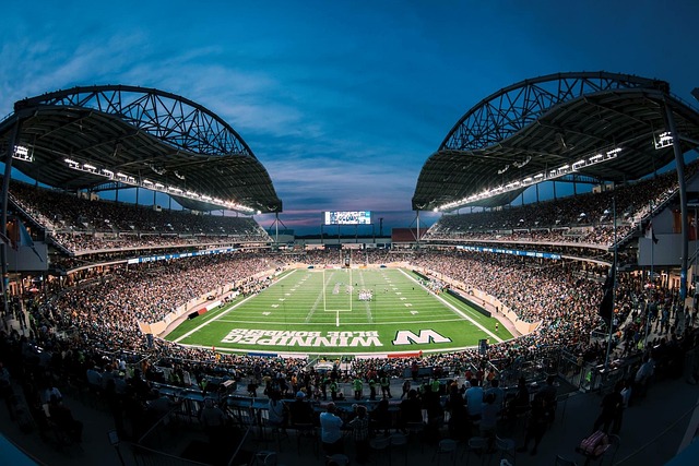 引导和市场 引导和市场